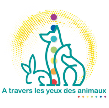 Partenaire A travers les yeux des animaux